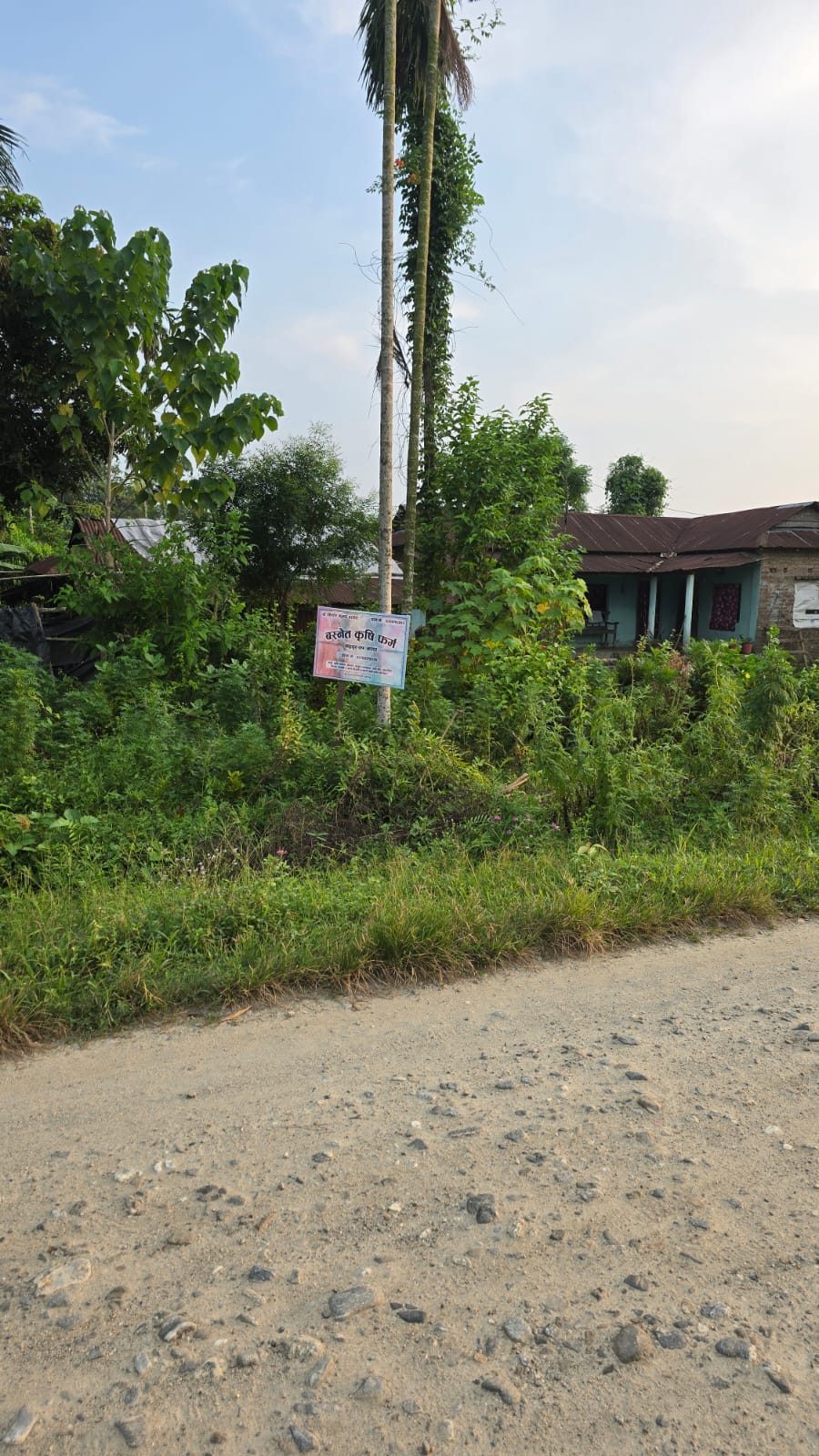 Basnet Krishi Farm signboard on the road