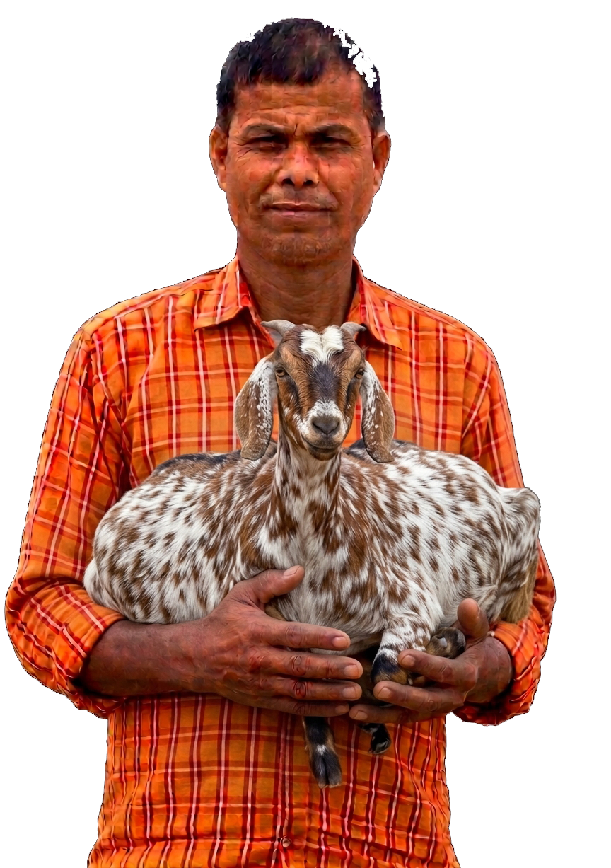 Farmer holding a goat